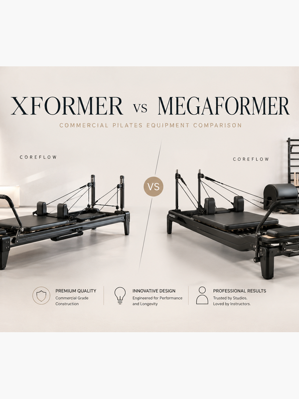 xformer vs megaformer